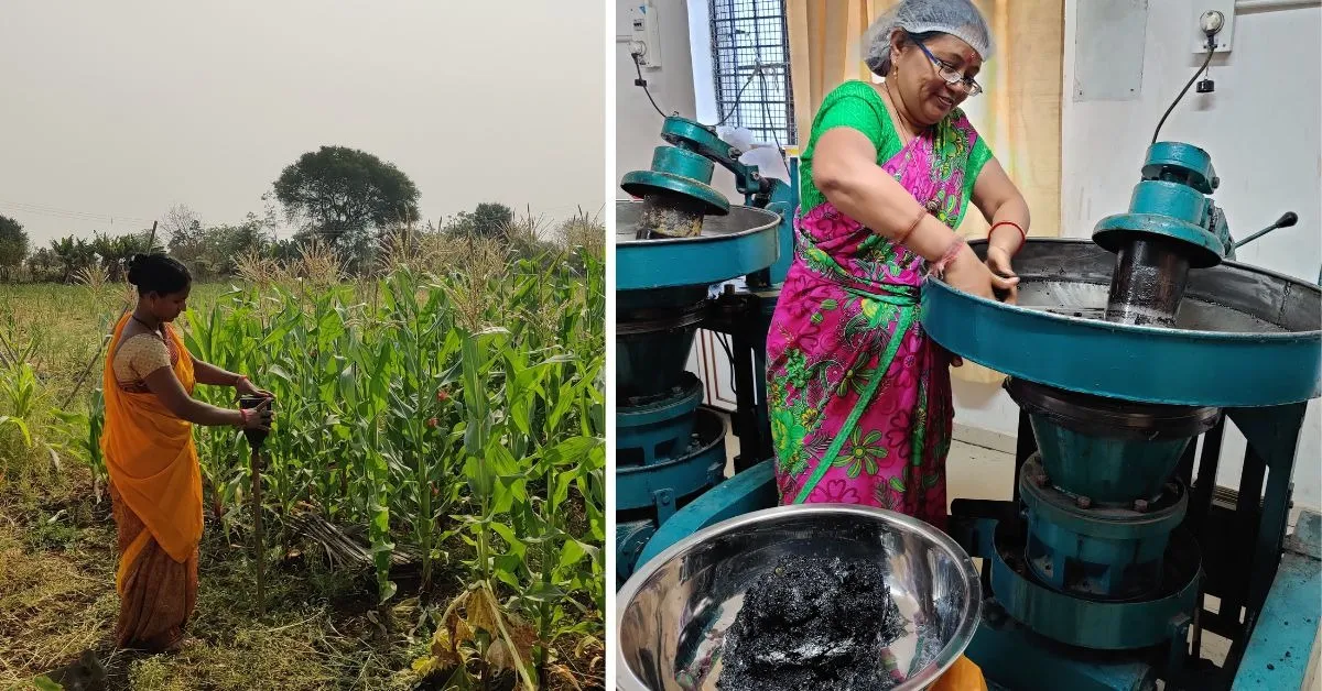 green value chains (6)