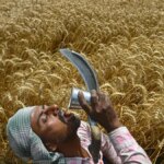 Union Budget 2026: Food, Air and Jobs India Can’t Ignore