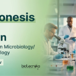 Microbiology Internship at Novonesis - Apply Now