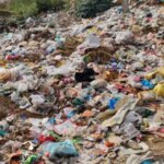 AI to fake clean-ups, GPS to skip work: Two Gurgaon civic officials fired from jobs | Delhi News