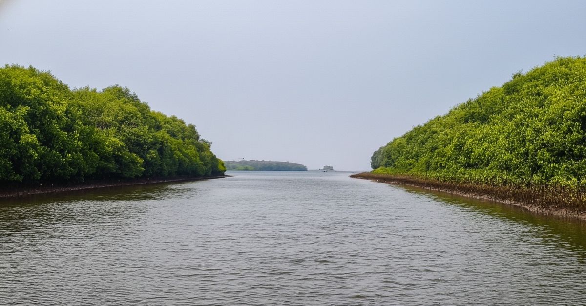 CM Majhi at Konark Eco Retreat