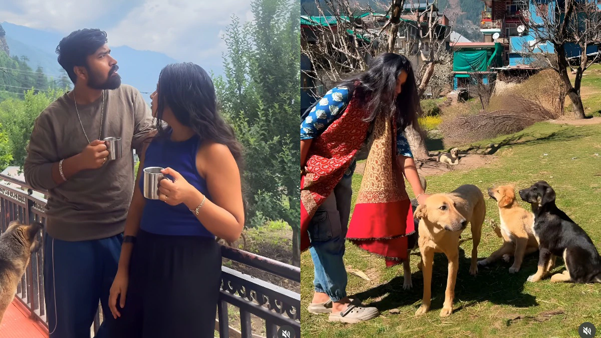 Cost of living in Manali: Remote-working couple spends less than Rs 12,000 a month