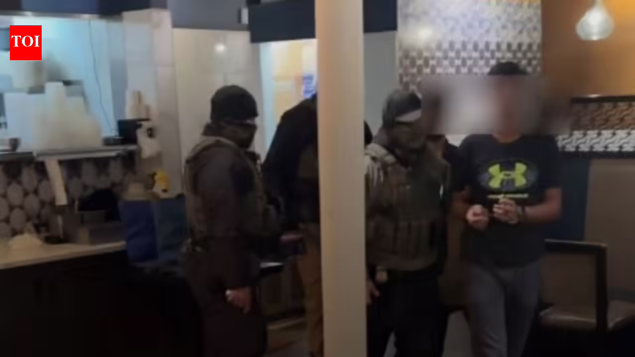 'Don't take up part-time jobs': Fresh warning on social media amid reports of ICE detaining two Indians from a Minnesota restaurant