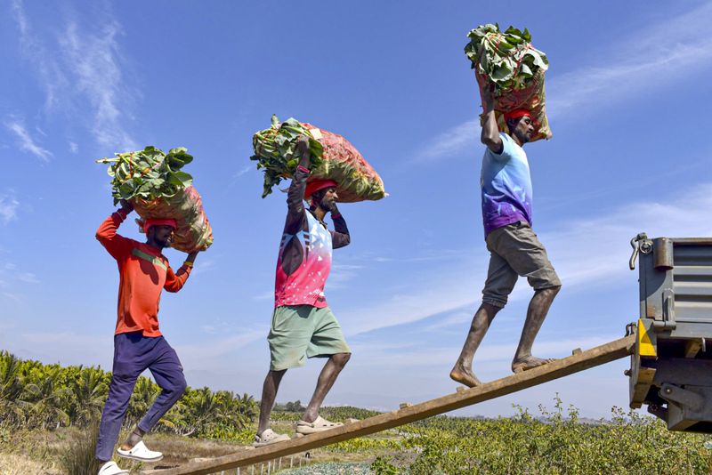 India's Troubled Relationship Between Capex, Infra-Growth and Employment Creation