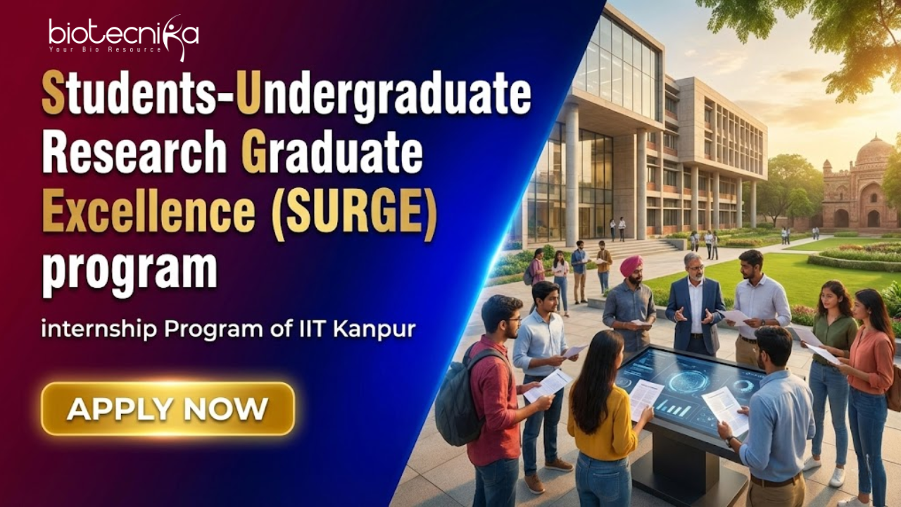 Internship Program at IIT Kanpur