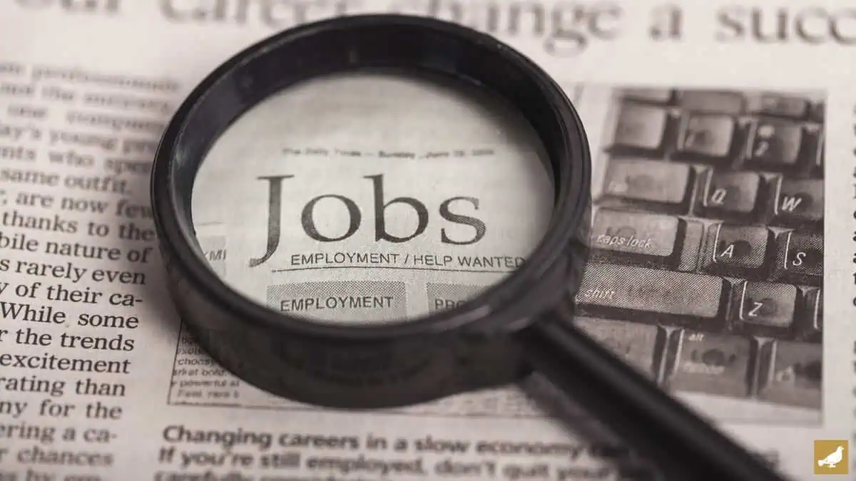 Job fair at Hyderabad's King’s Palace Function Hall on Jan 31