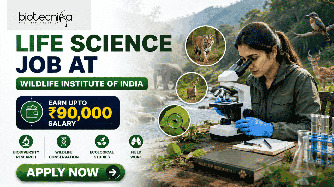 Life Science Job At Wildlife Institute of India