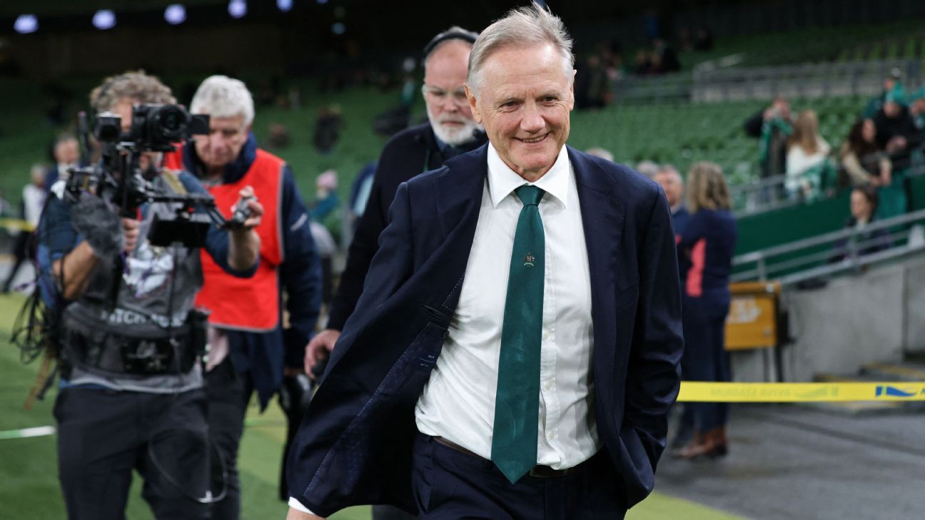 'Loyalty' to Wallabies meant Joe Schmidt didn't entertain All Blacks job