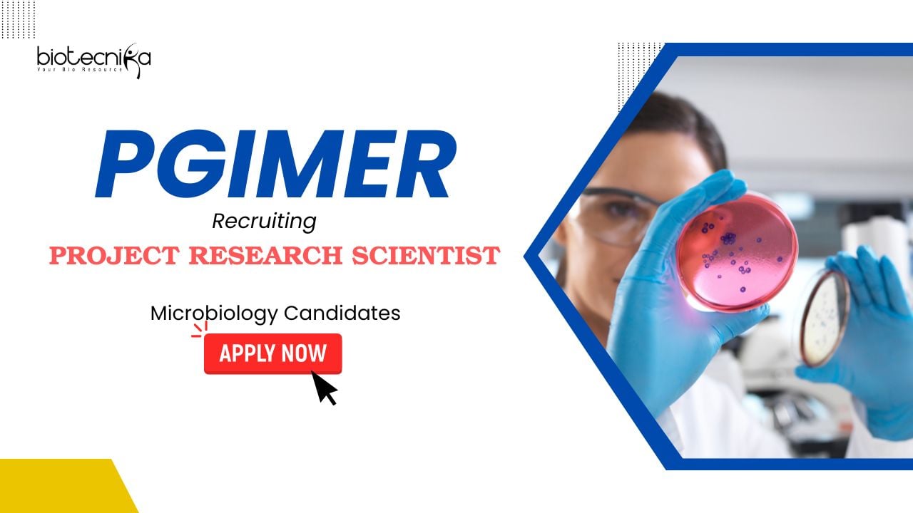 Research Scientist Vacancy - PGIMER Recruitment