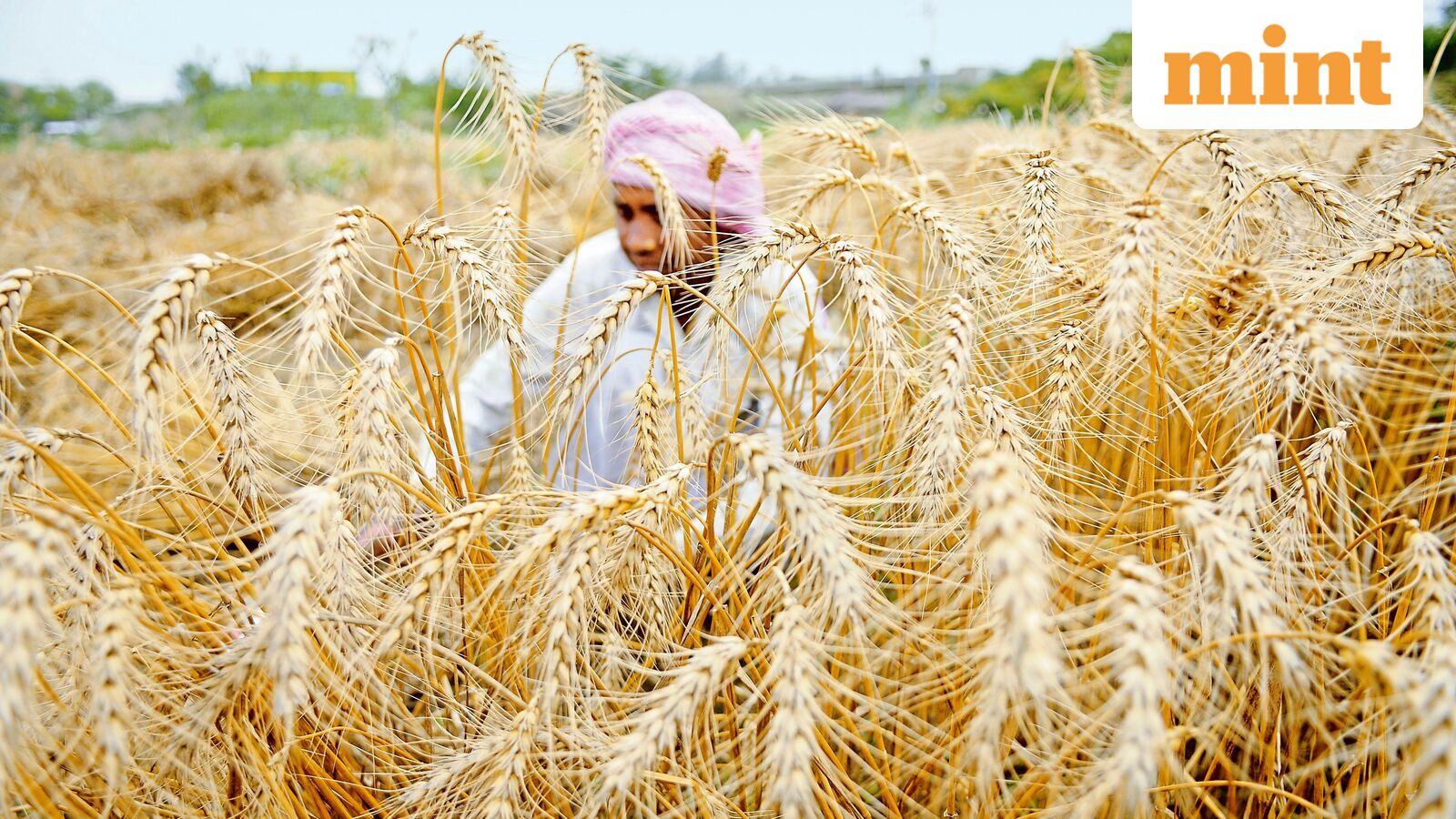 Rural jobs guarantee 2.0: More days, states to share the burden