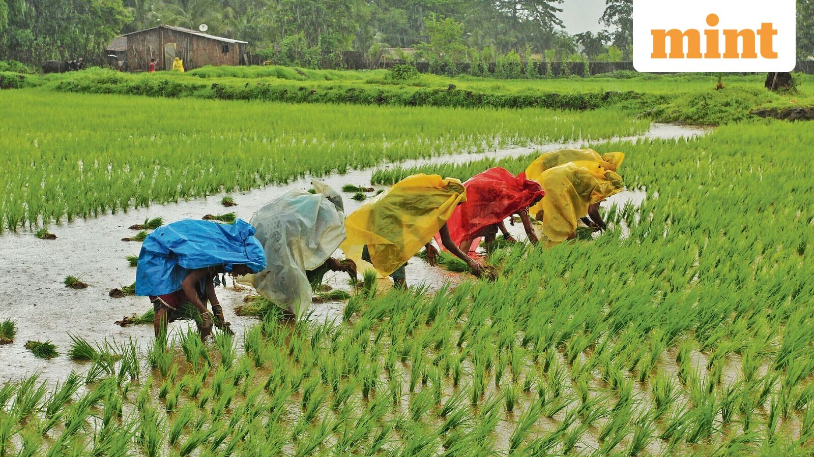 Seasonal fall in demand for work under rural jobs scheme much sharper Jun-Oct this year