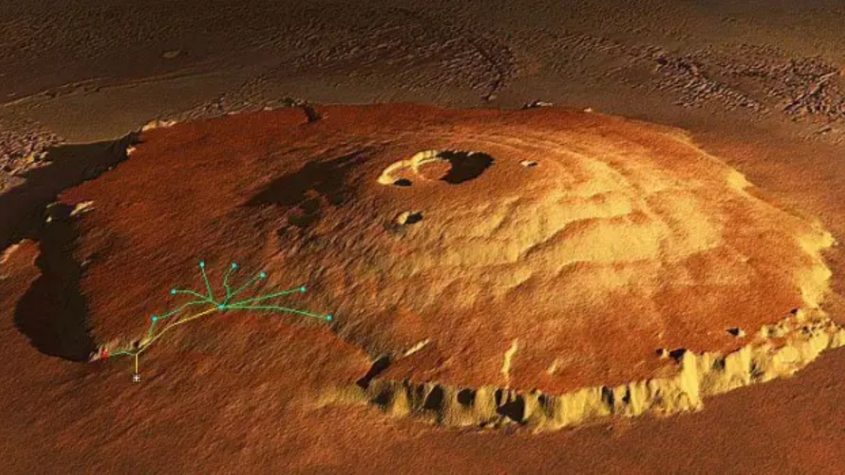 Which is the Tallest Mountain in the Solar System?