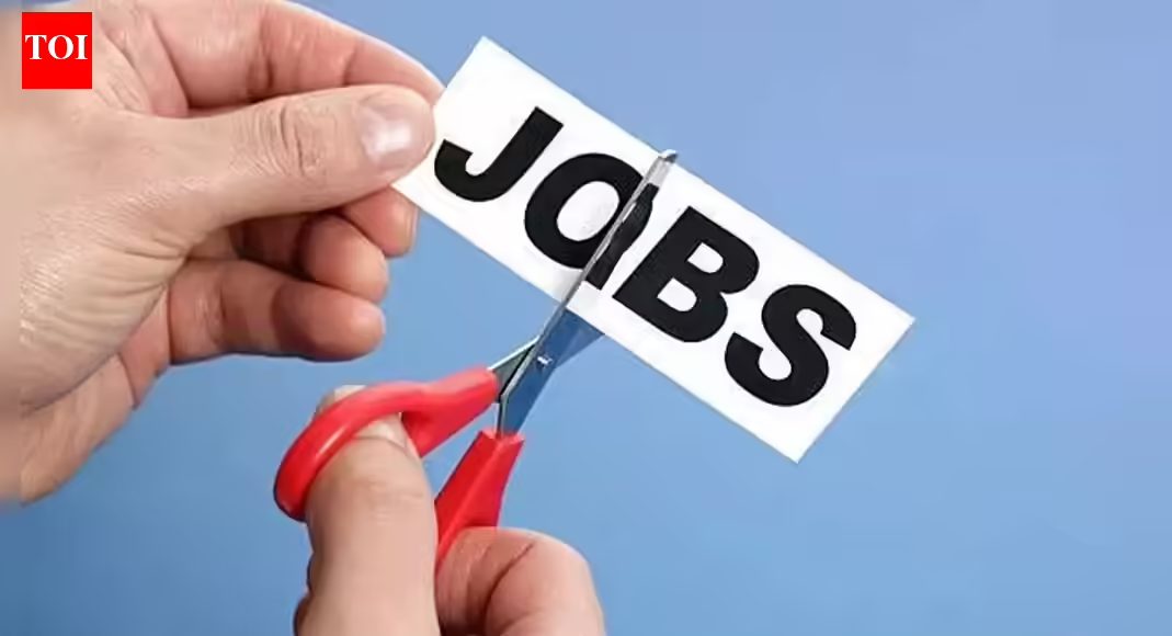 Sapiens to cut hundreds of jobs: These two countries may be hit the hardest