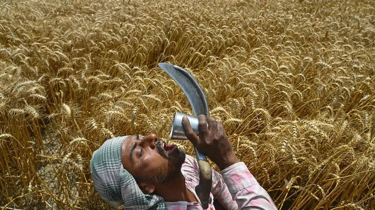 Union Budget 2026: Food, Air and Jobs India Can’t Ignore