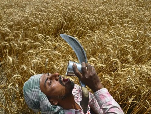 Union Budget 2026: Food, Air and Jobs India Can’t Ignore