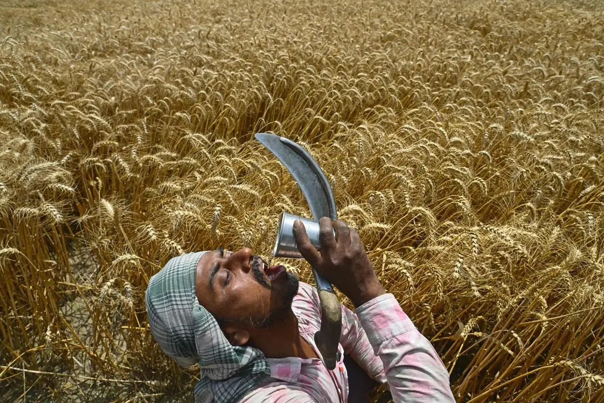 Union Budget 2026: Food, Air and Jobs India Can’t Ignore