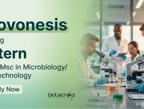Microbiology Internship at Novonesis - Apply Now