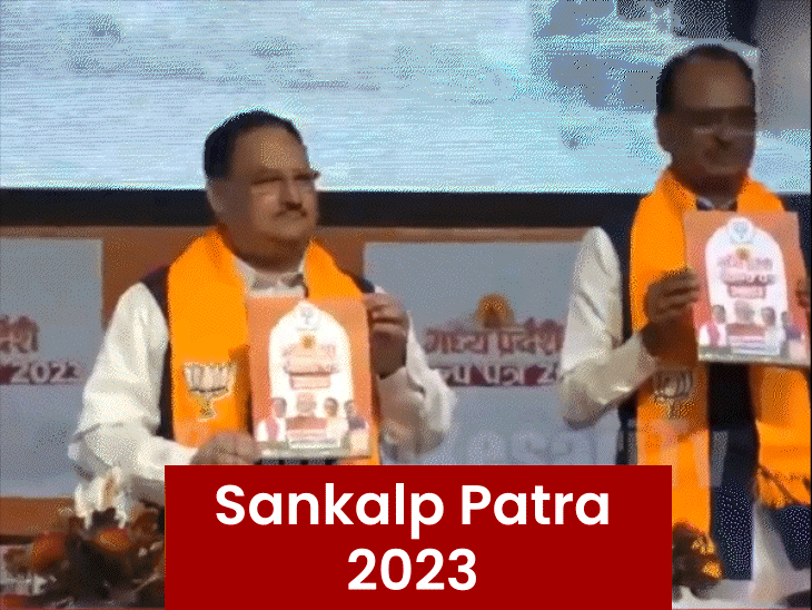 2 years on, where does Mohan govt stand on 'Modi-Guarantees'?: Jobs for every family, free education remain biggest hurdles; youth remain sceptical - Madhya Pradesh News