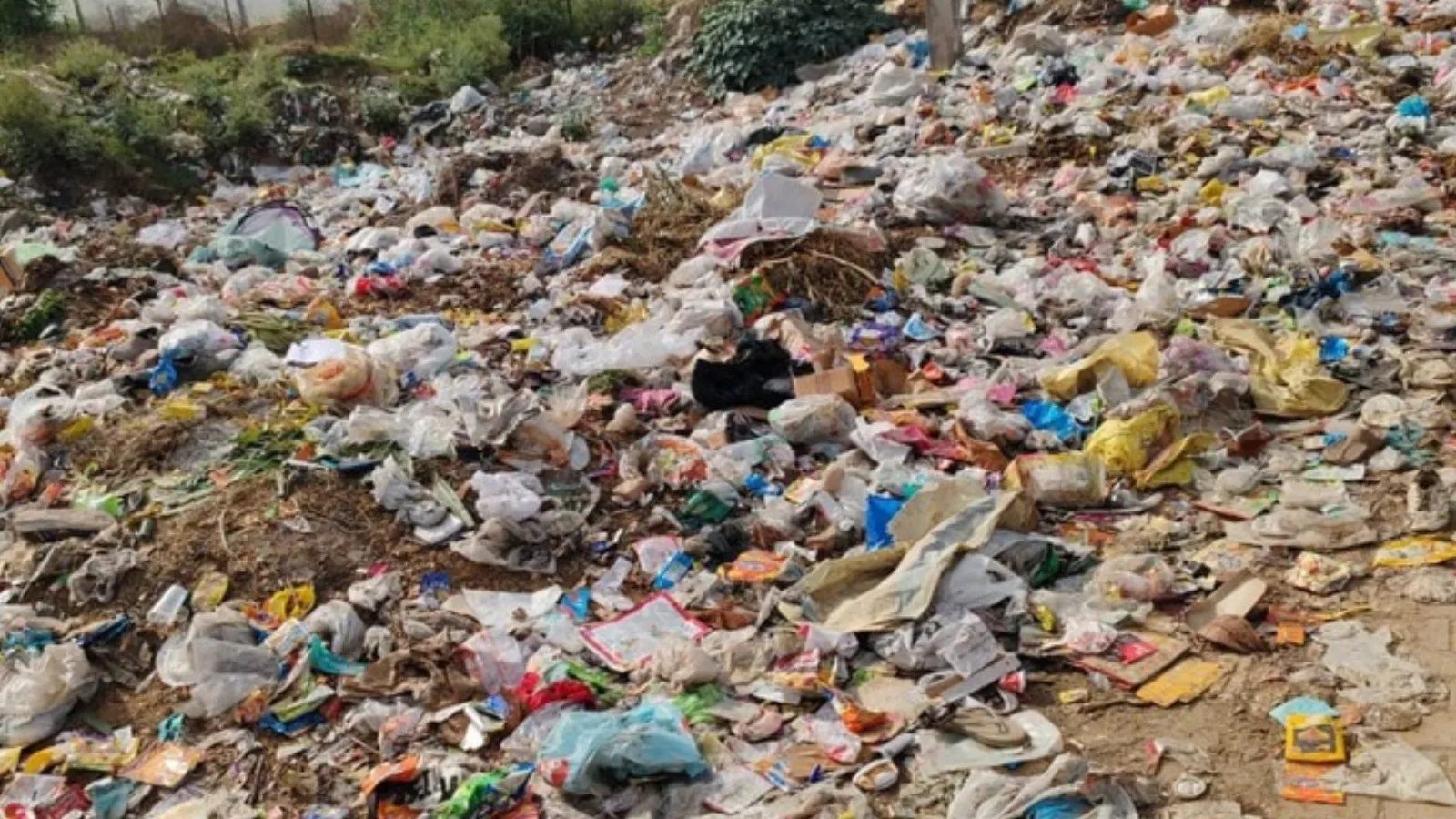 AI to fake clean-ups, GPS to skip work: Two Gurgaon civic officials fired from jobs | Delhi News