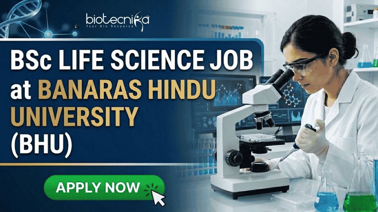 BSc Life Science Job at Banaras Hindu University