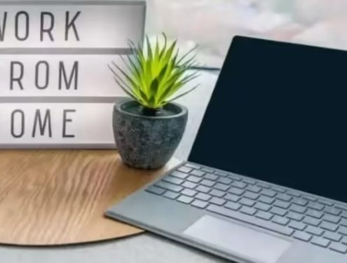 Central govt employees body seeks 'work from home', online meetings
