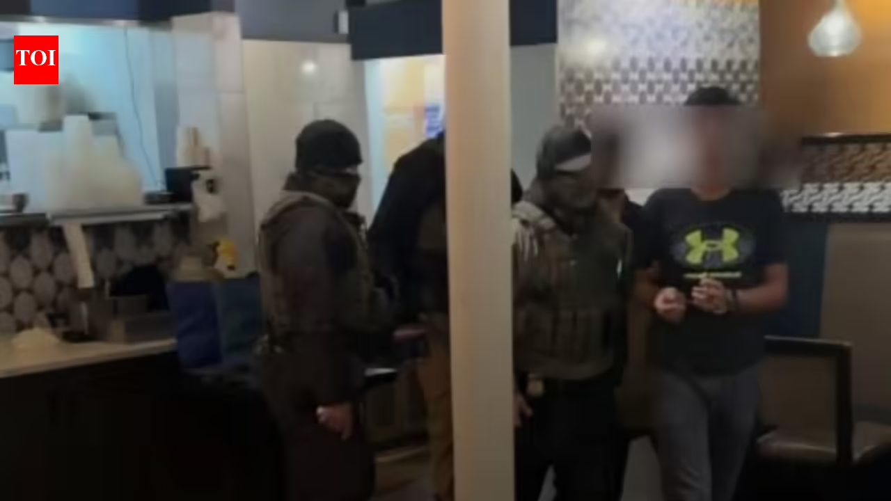 'Don't take up part-time jobs': Fresh warning on social media amid reports of ICE detaining two Indians from a Minnesota restaurant