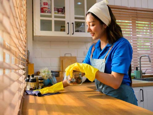 House Help in 15 Minutes: Fast Services, Tight Deadlines