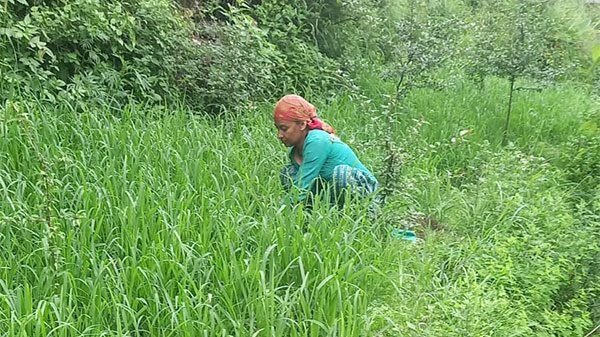 India’s job guarantee gets redesigned