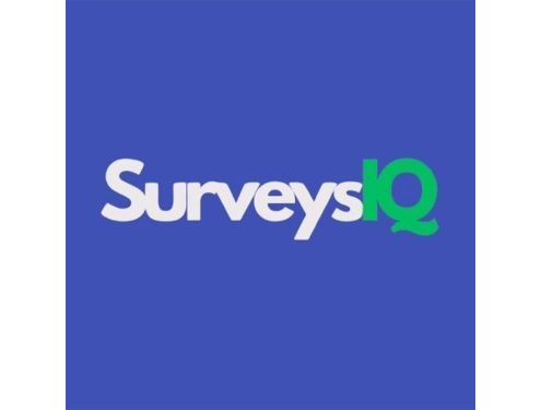 Inside India's Fastest-Growing Survey App to Earn Money Online