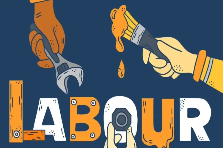 Labour reforms, job incentives boost employment in 2025