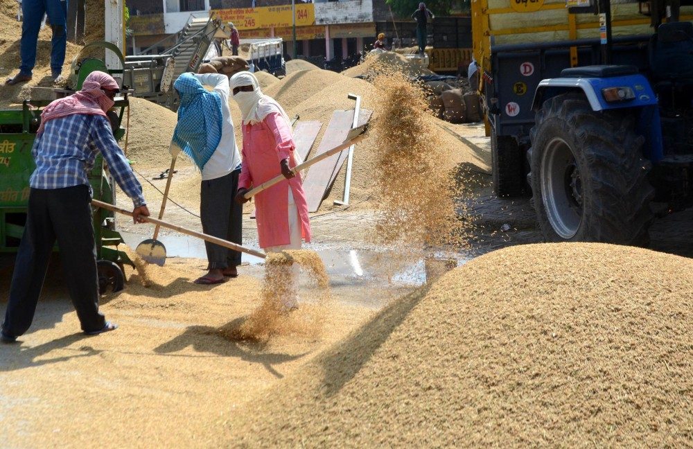 Labour reforms to create 77 lakh jobs, boost consumption by Rs 75,000 crore: SBI report | MorungExpress