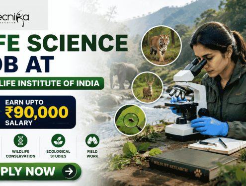 Life Science Job At Wildlife Institute of India