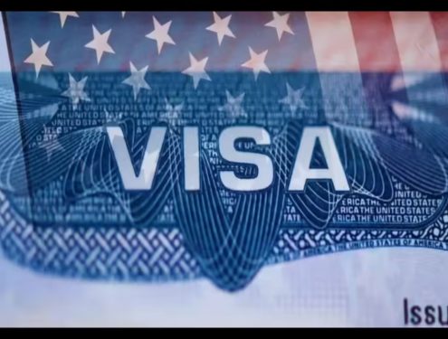 Major ICE crackdown on 10,000 foreign students on OPT; 'fake companies' being operated from India