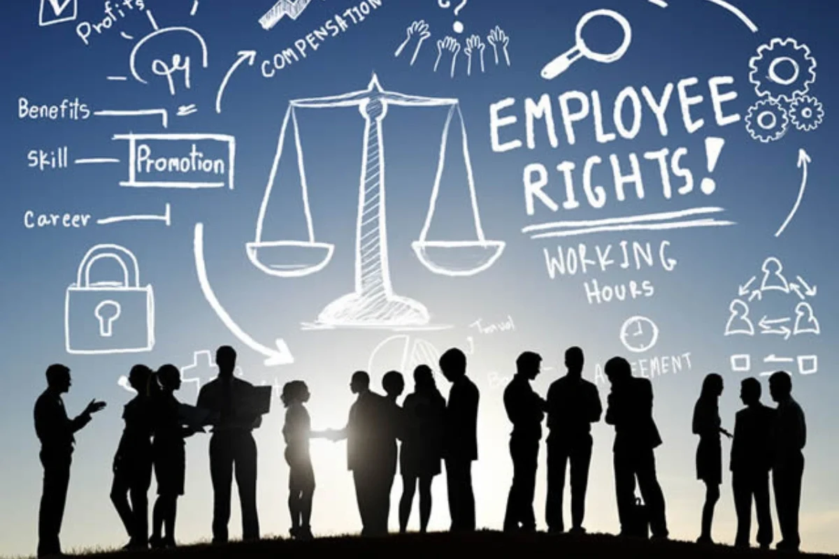 Who Truly Benefits From India’s New Labour Law Overhaul & How?