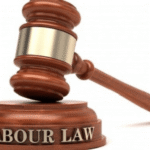 ‘Job titles don’t define real work relationships’: Delhi HC